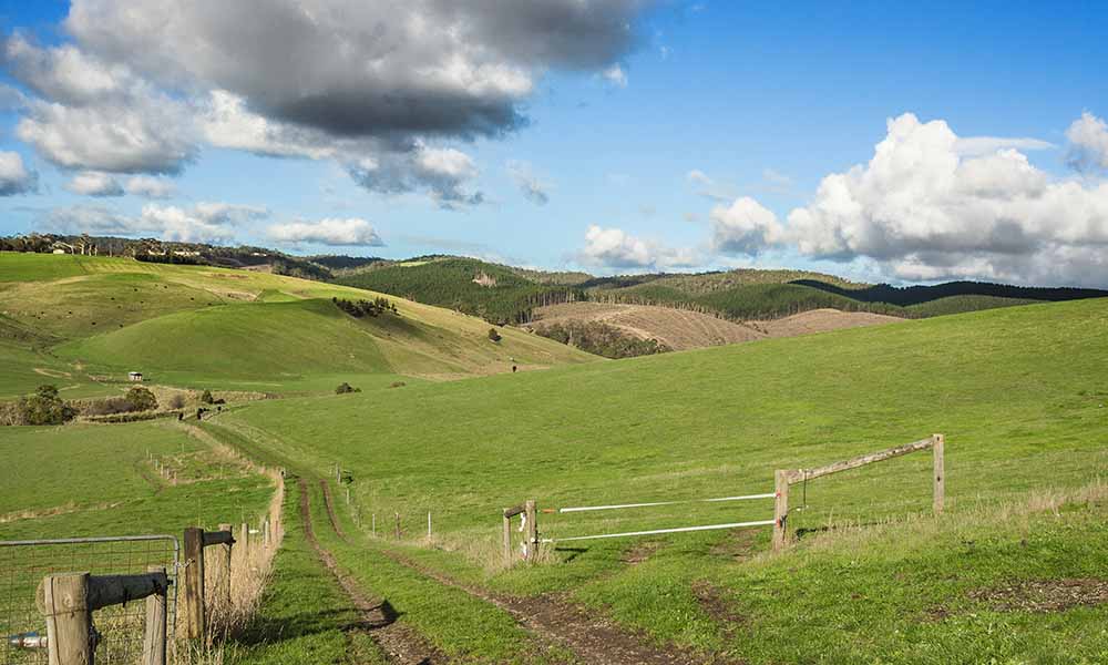 Australian farmland values reach record high as growth slows to 12-year low